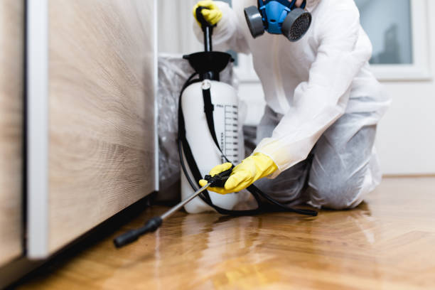 Best Residential Pest Control  in Bedford, VA