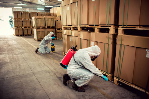 Best Local Pest Control Services  in Bedford, VA