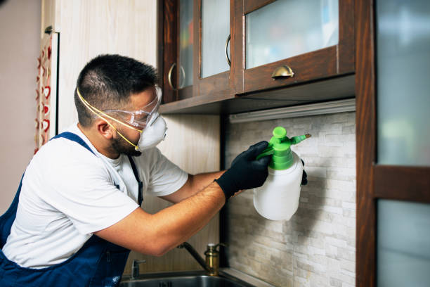 Best Commercial Pest Control Services  in Bedford, VA