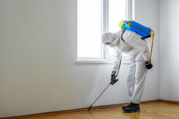 Professional Pest Control in Bedford, VA