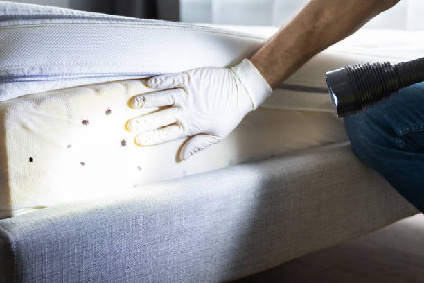 Best Best Pest Control Companies  in Bedford, VA