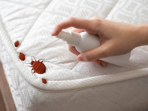 Best Mosquito Control Services  in Bedford, VA